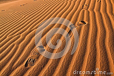 Foot Print in Sahara Desert