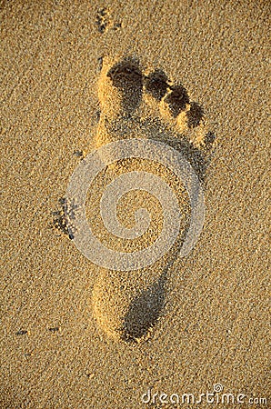 Foot print on sand,