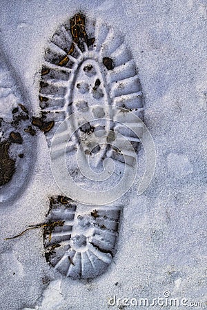 Foot print