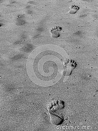 Foot prints