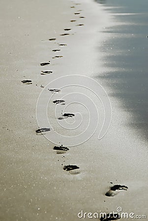 Foot prints