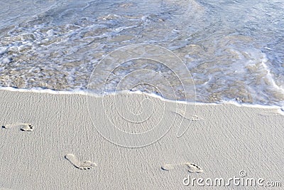 Foot Prints on a Tropical Beach