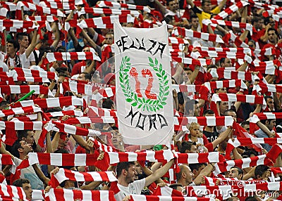 Football or soccer fans with red & white scarves