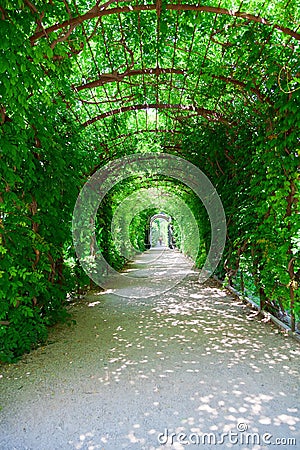 Footpath in Schonbrunn Palace Park