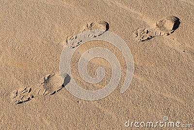 Footprints in desert 1