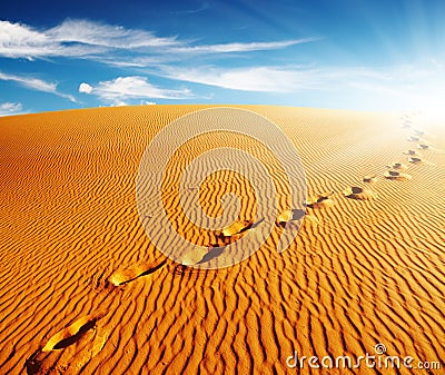 Footprints On Sand Dune Stock Image - Image