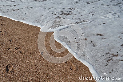 Footprints in the sand by the sea