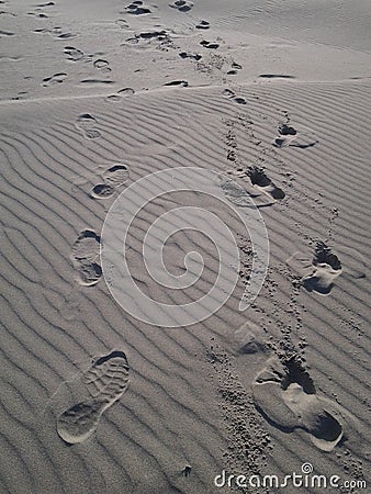 Footsteps in the Sand