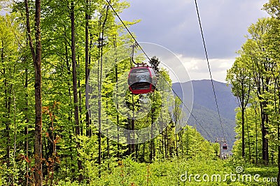 Forest cable car