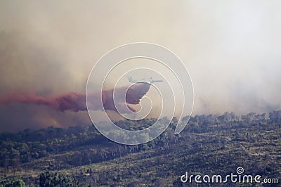 Forest fire fighting