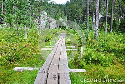 Forest path