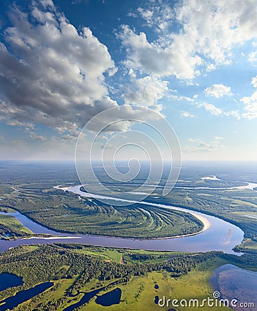 Forest river, top view