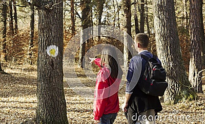 Forest signs for hikers