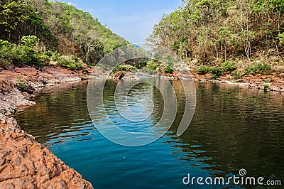 Forest and water sources