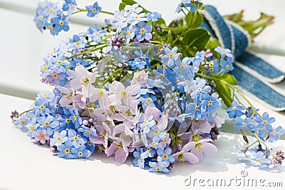 Forget-me-not