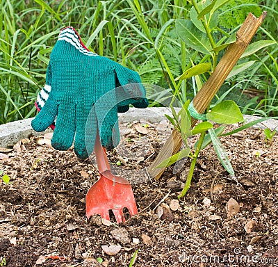 Fork and gloves in the garden