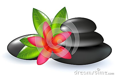 Fragipani With Leaves And Stones. Vector