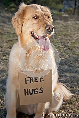 Free Hugs