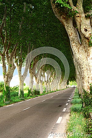 French country road