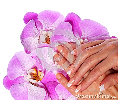 French Manicure. Beautiful Female Hands with pink orchid flowers