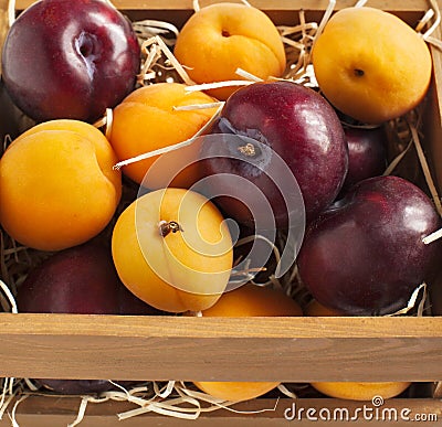 Fresh apricots and plums in wooden box