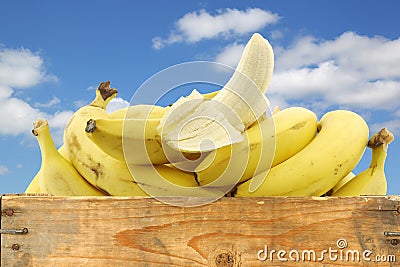 Fresh bananas and a peeled one