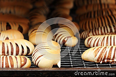 Fresh bread cake on cooler rack