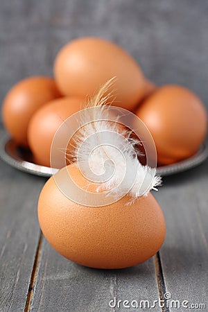 Fresh chicken eggs and feather on rustic wooden background
