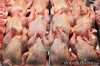 Fresh chickens in a butcher shop