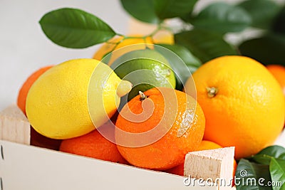 Fresh citrus fruits in the box