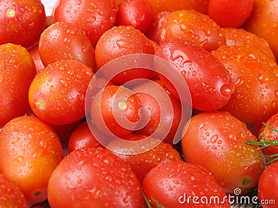 Fresh, delicious and tasty tomatoes and fennel