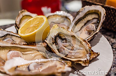 Fresh dozen oysters on plate
