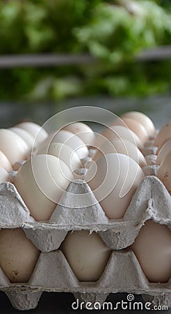 Fresh eggs in a market