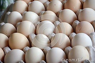 Fresh eggs in a market