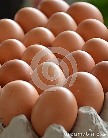 Fresh eggs in a market