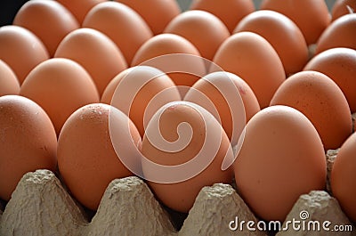 Fresh eggs in a market