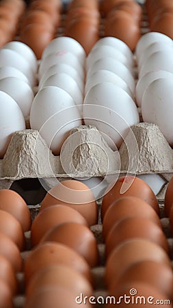 Fresh eggs in a market