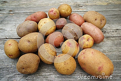 Fresh Farm Potato