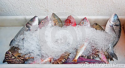 Fresh fish with ice on the tray