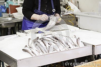 Fresh fish at a market