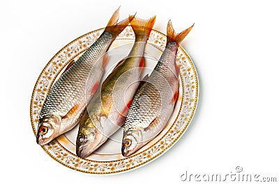 fresh-fish-plate-18781868.jpg