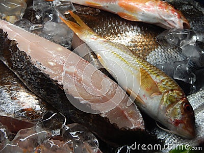 Fresh fish on restaurant display