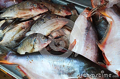 Fresh fish in a wet market