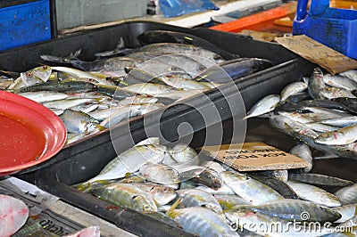 Fresh fish at the wet market