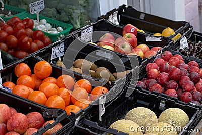 Fresh fruit and vegetables