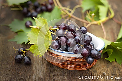 Fresh grapes-International Food