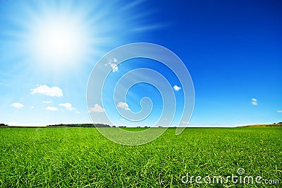 Fresh green grass with bright blue sky