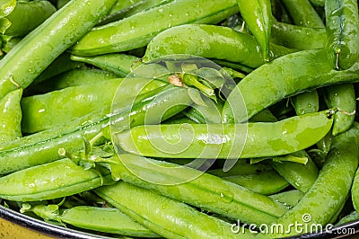 Fresh green pea pods in a bowl