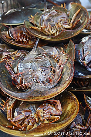 Fresh Horseshoe Crab in the Market