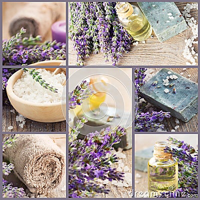 Fresh lavender collage